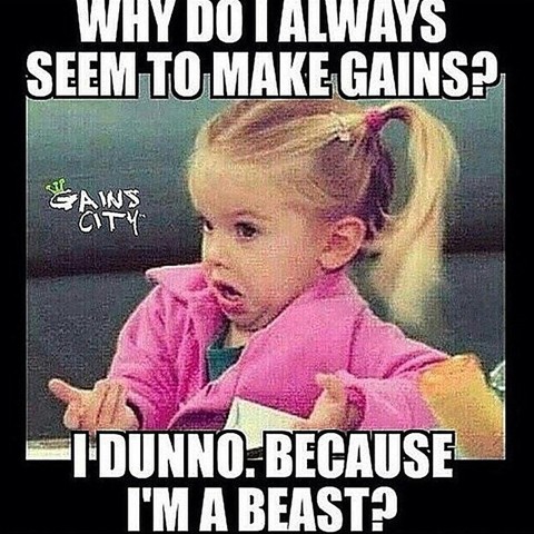 Funny Bodybuilding Meme Thread Stronger 24 7 Stronger Everyday Page 1