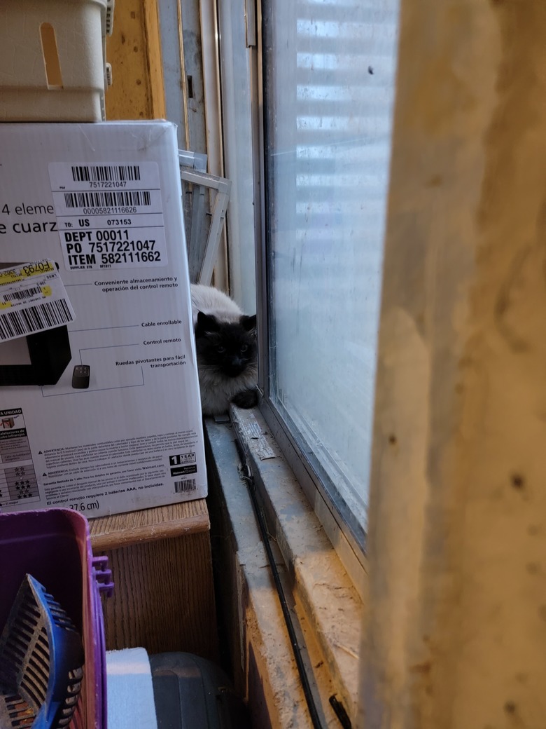 Potential recordbreaking cold in Colorado!! CBCS Comics Page 2