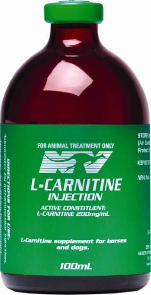 What Is L Carnitine Stronger 24 7 Stronger Everyday Page 1